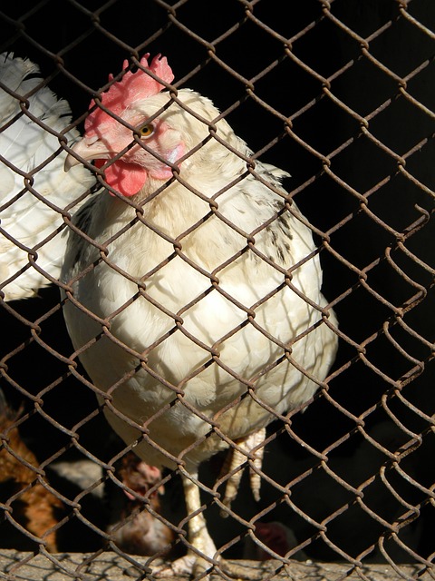 精彩對決 精彩對決