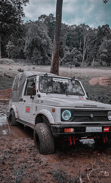 最佳状态 最佳状态