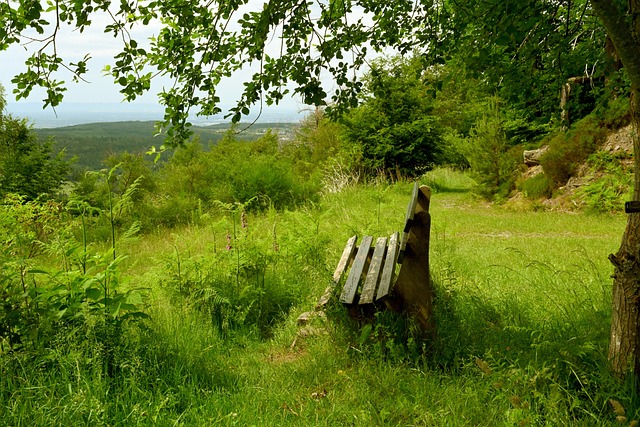 在现代社会 在现代社会
