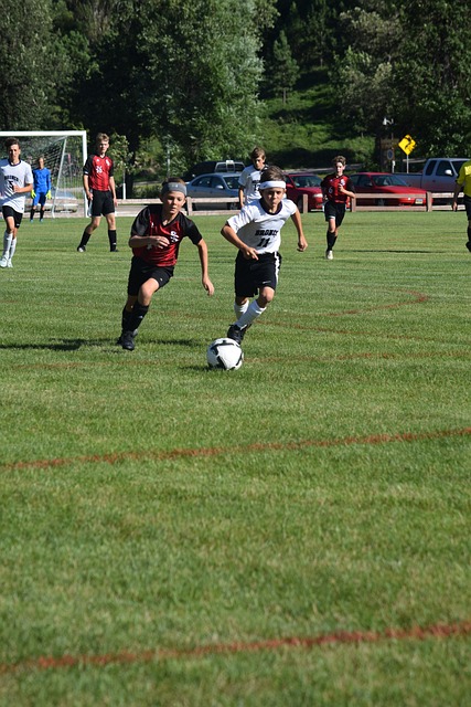 并引进年轻 并引进年轻