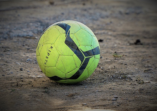 赢得比赛的 赢得比赛的