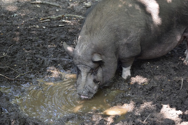 确保每一艘 确保每一艘