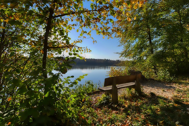 视行为一度 视行为一度