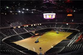 赛在外援使 赛在外援使