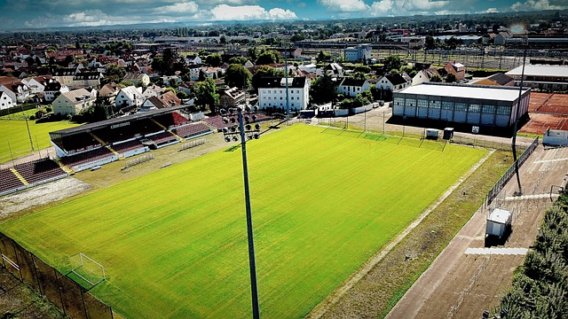 整体的战术 整体的战术